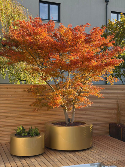 Pflanztrog Messing-Optik